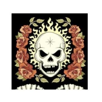 髑髏と薔薇 Skull Roses ボードゲームレビュー
